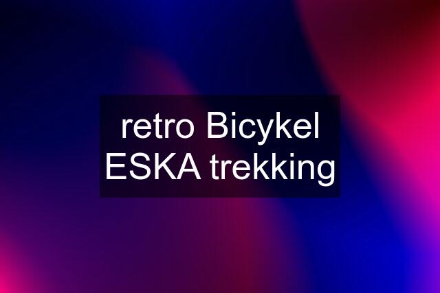 retro Bicykel ESKA trekking