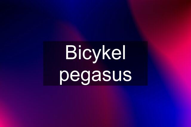 Bicykel pegasus