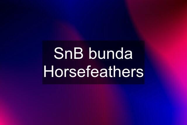 SnB bunda Horsefeathers