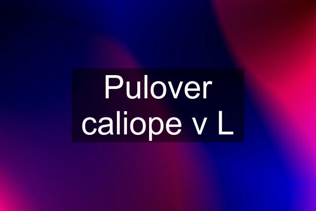 Pulover caliope v L