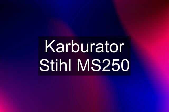 Karburator Stihl MS250