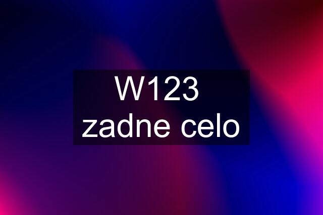 W123  zadne celo