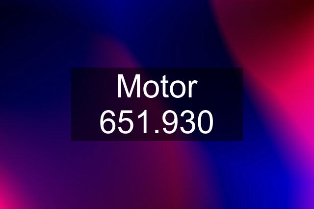 Motor 651.930