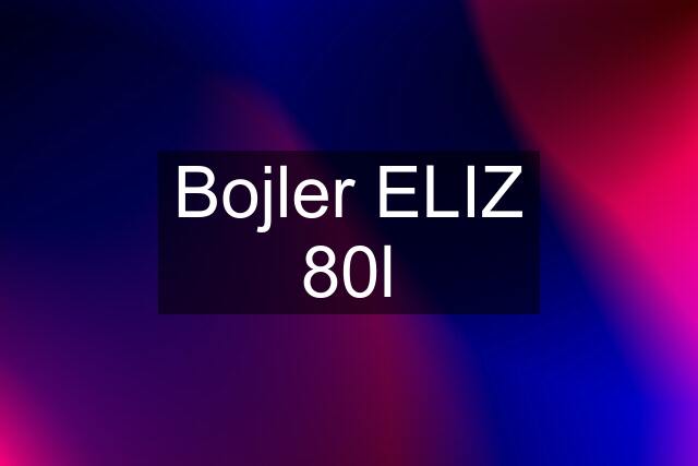 Bojler ELIZ 80l