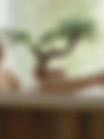 sex and the city season 2 episode 7