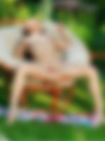 sex position app